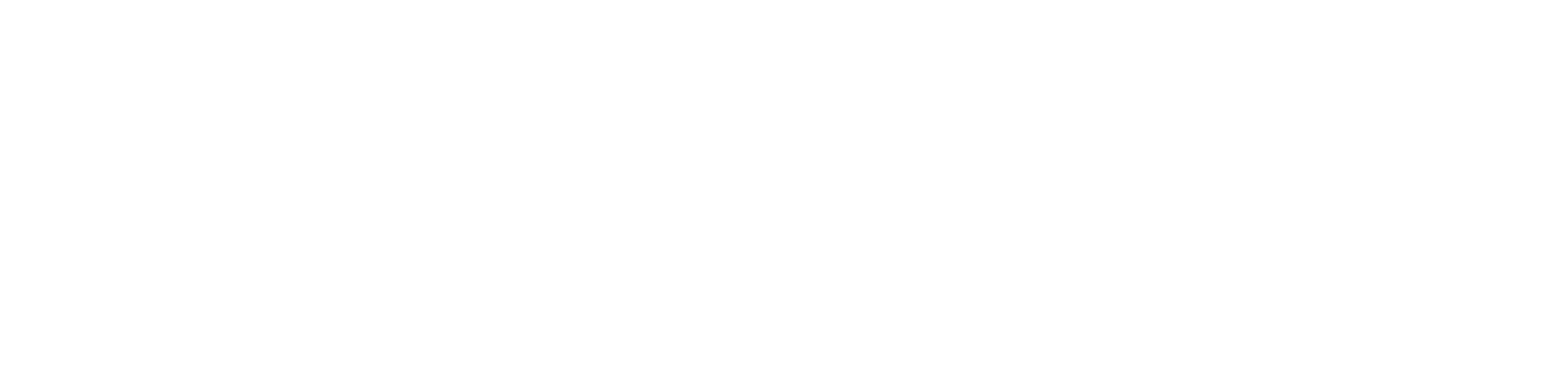 Finanziato dall' Unione Europea